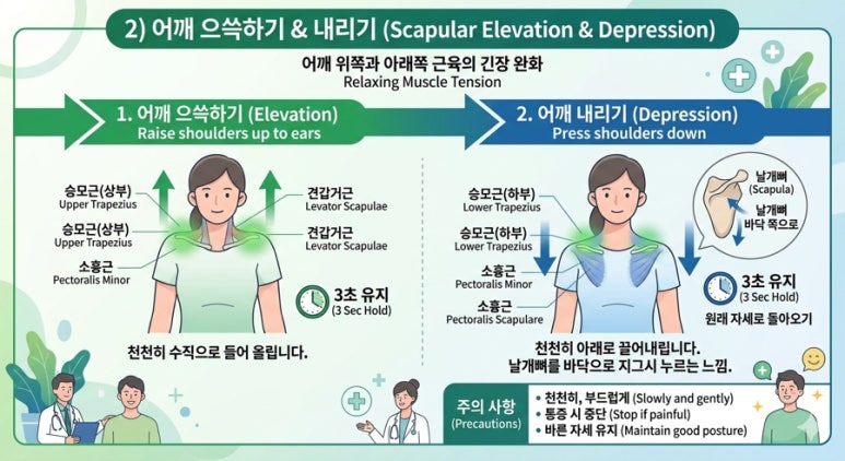 어깨 으쓱하기 및 내리기 자세